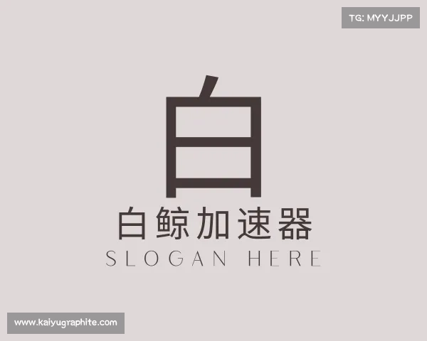 认识白鲸加速器